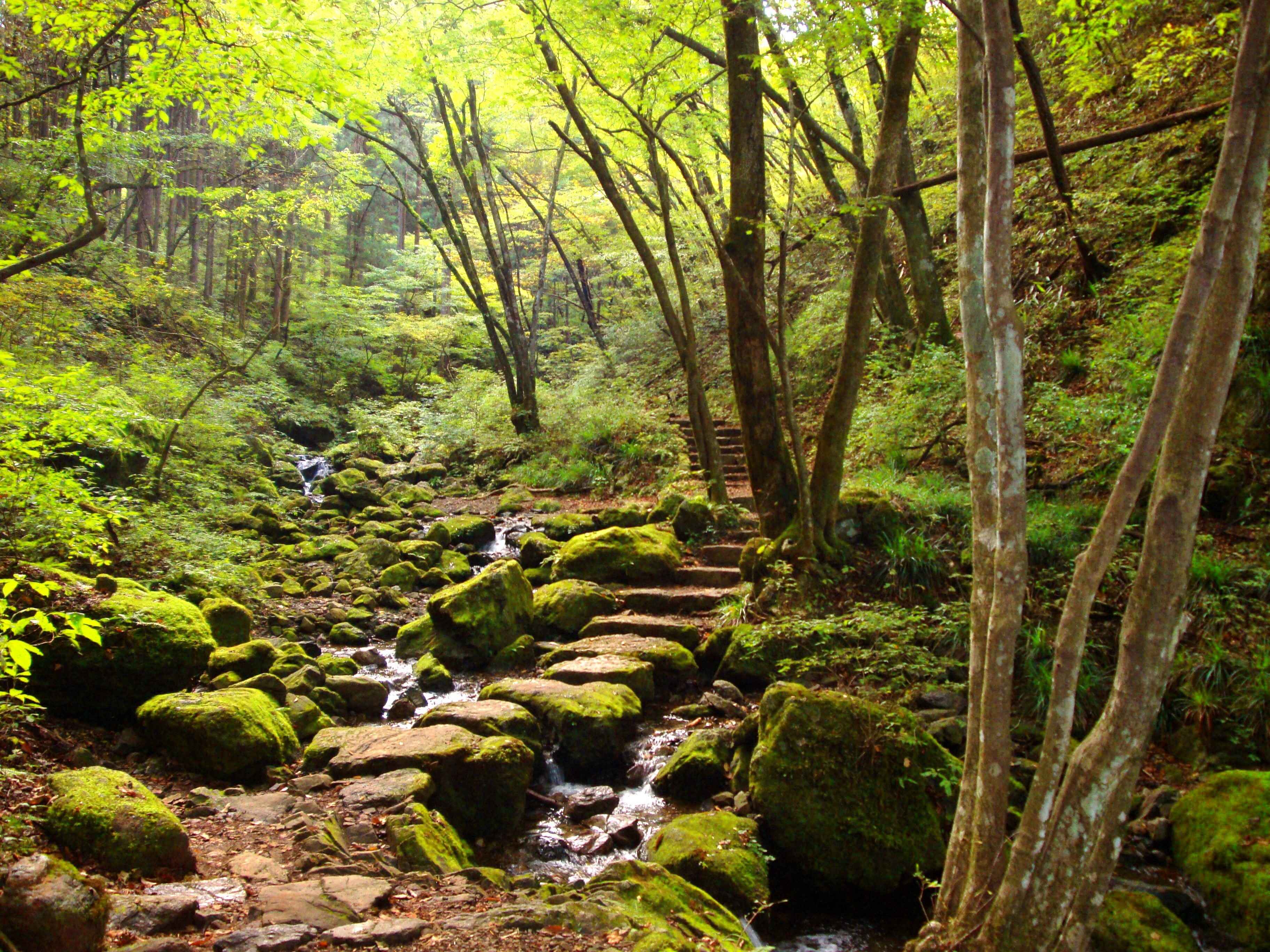 🏞️ 록 가든·미타케 암석원(롯쿠가덴·미타케 간세키엔) 이미지 1